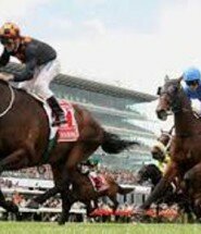 Experienced-Horse-Racing-Tipsters