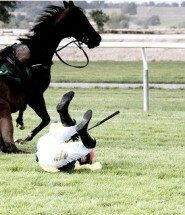 Laying-bets-on-a-Horse-Racing-System